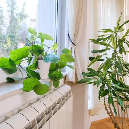 The Hill House Free Parking Plovdiv