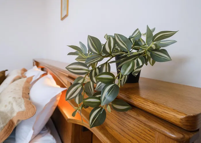 The Hill House Free Parking Ferienhaus