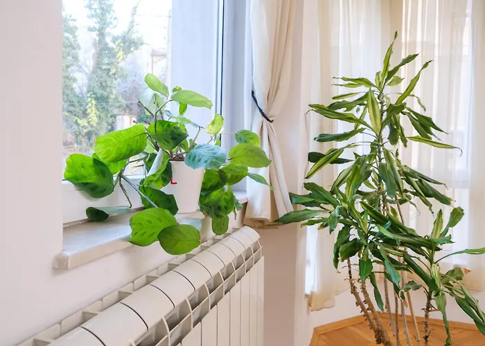 The Hill House Free Parking Plowdiw