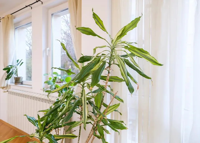 The Hill House Free Parking * Plowdiw